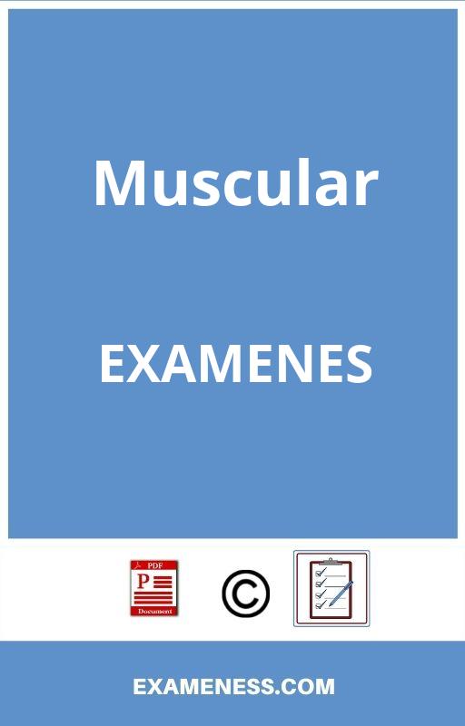 Evaluacion Muscular